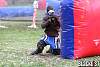 IMG_7333.jpg