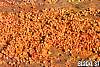 IMG_5666.jpg